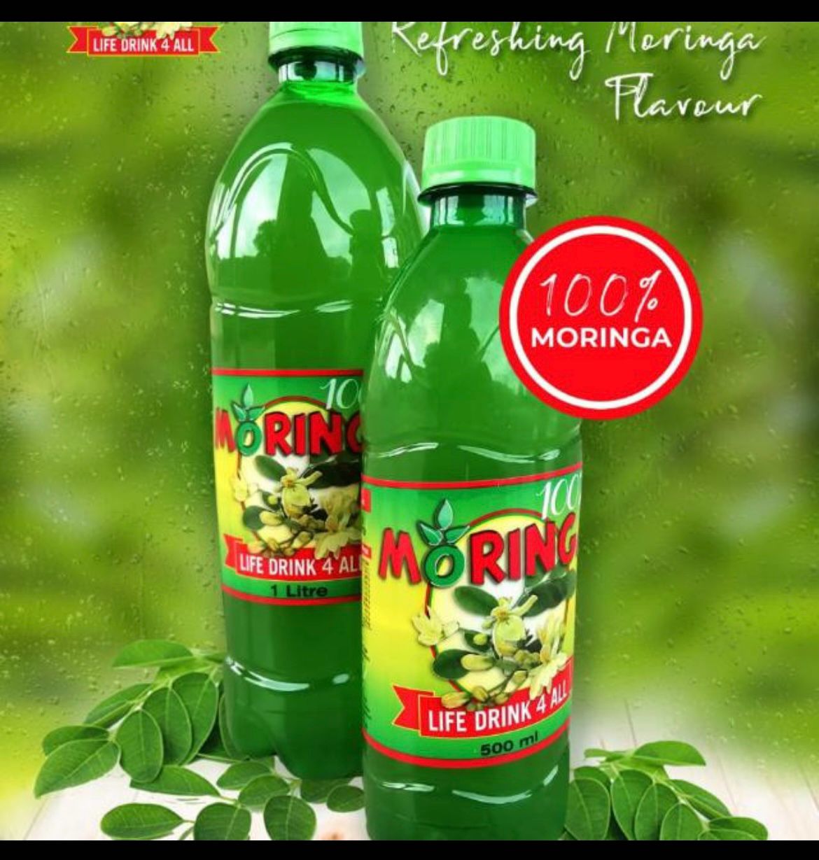 Moringa - The Miracle Tree